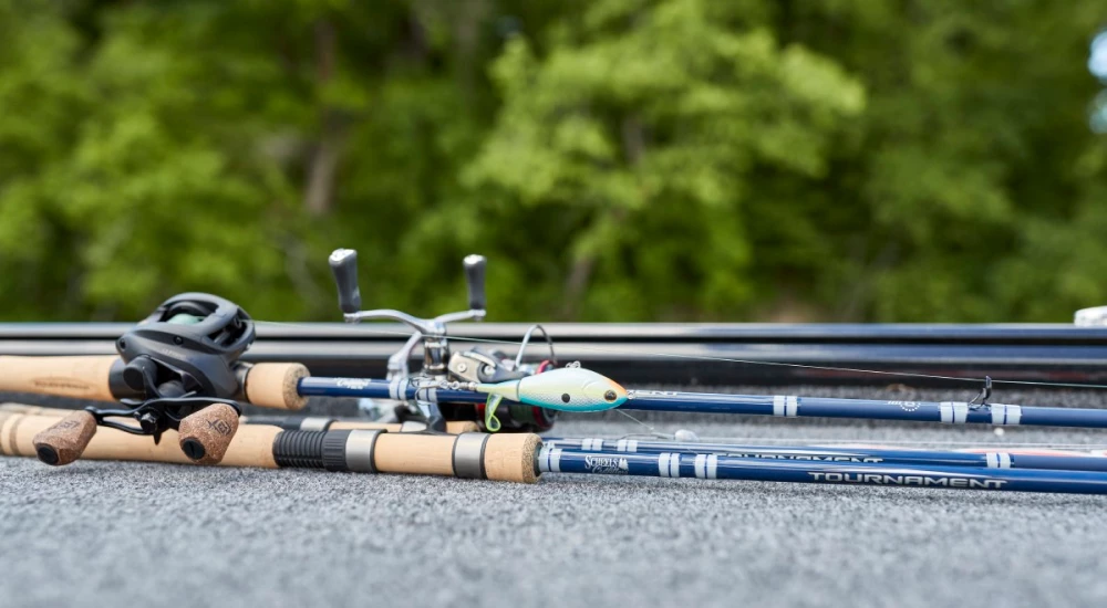 Everything You Need to Know Before Choosing a Fishing Rod