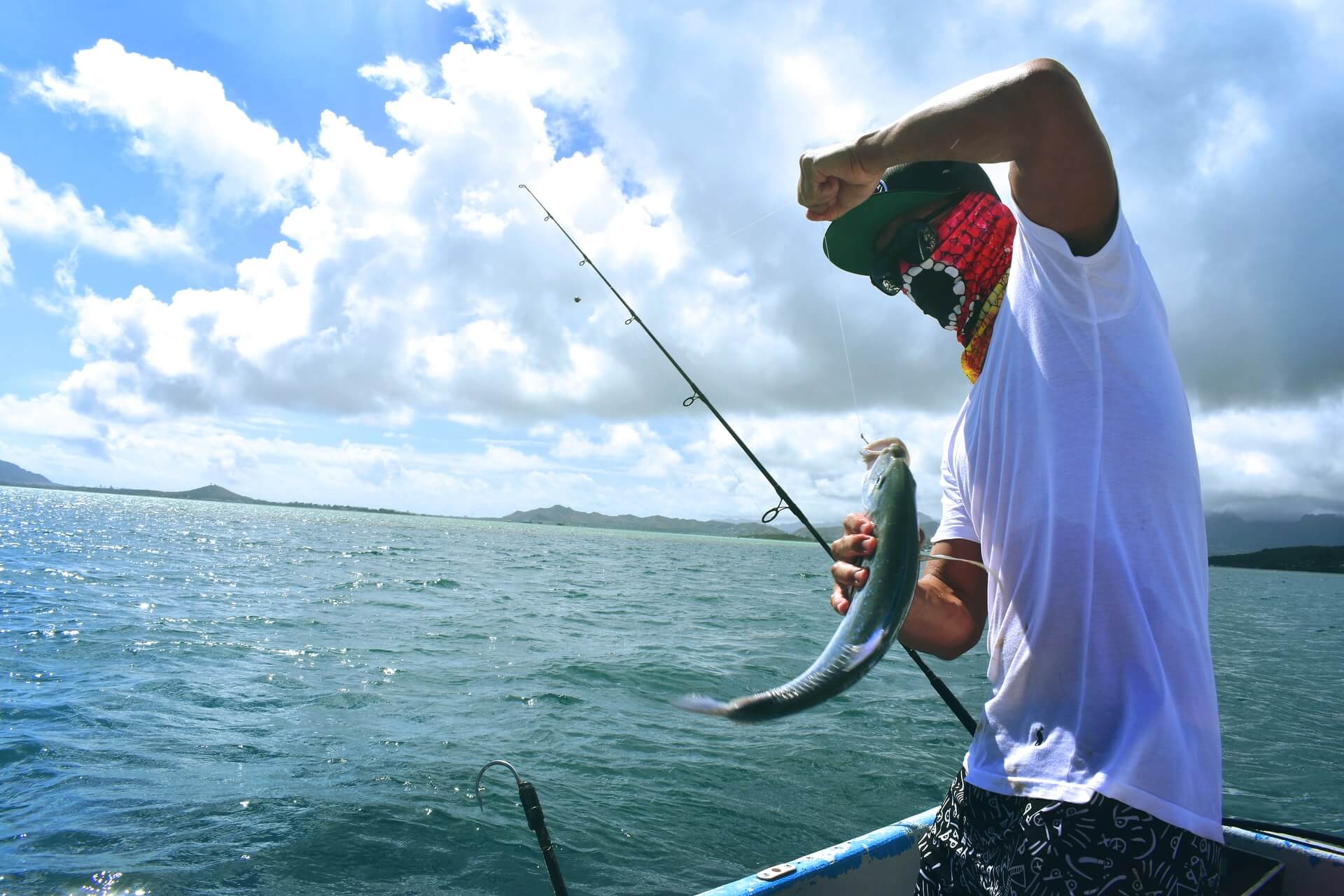 Fishing in Abu Dhabi: 2024 Complete Guide