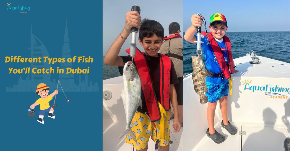 Different Types of Fish You’ll Catch in Dubai