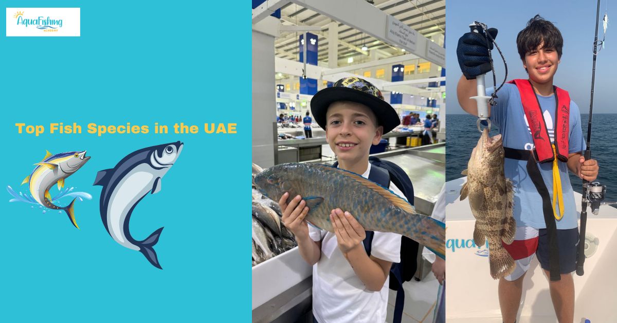 Top Fish Species in the UAE