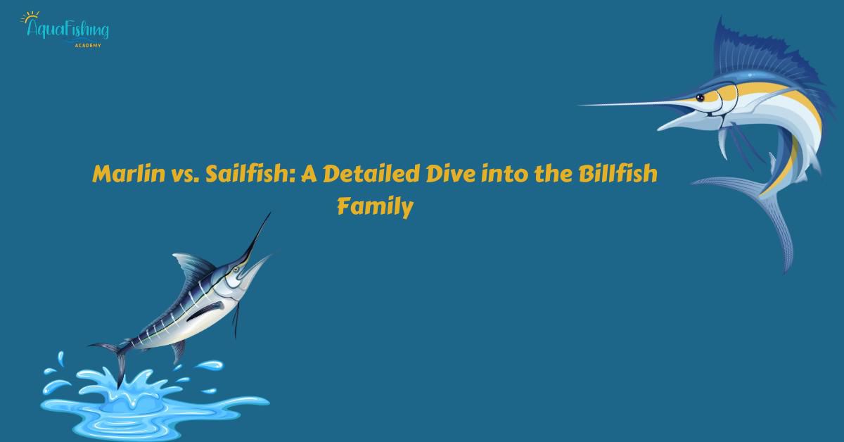 Marlin vs. Sailfish: A Detailed Dive into the Billfish Family