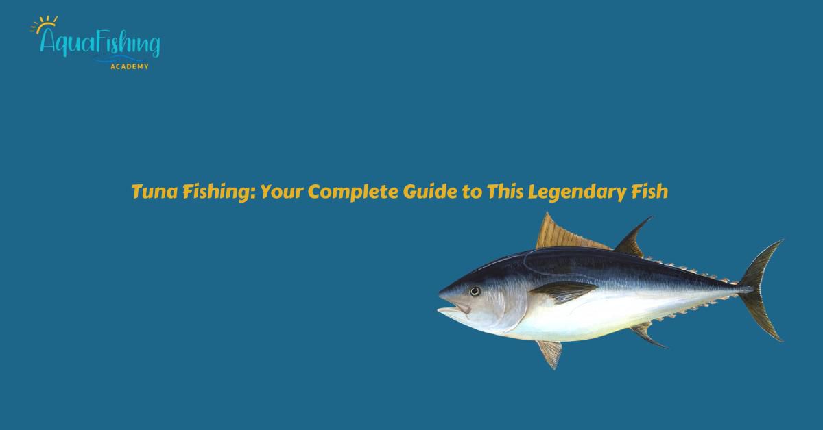 Tuna Fishing: Your Complete Guide to This Legendary Fish